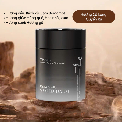 SÁP THƠM Ô TÔ – KHỬ MÙI & TẠO HƯƠNG DỄ CHỊU