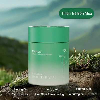 SÁP THƠM Ô TÔ – KHỬ MÙI & TẠO HƯƠNG DỄ CHỊU